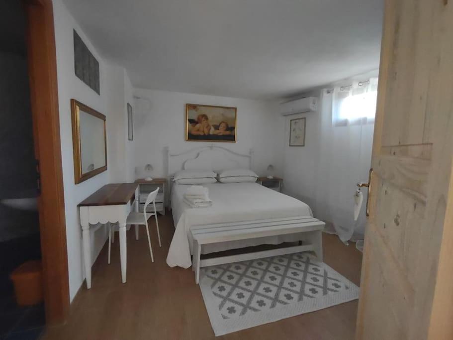 Camera Sole Olbia Luaran gambar