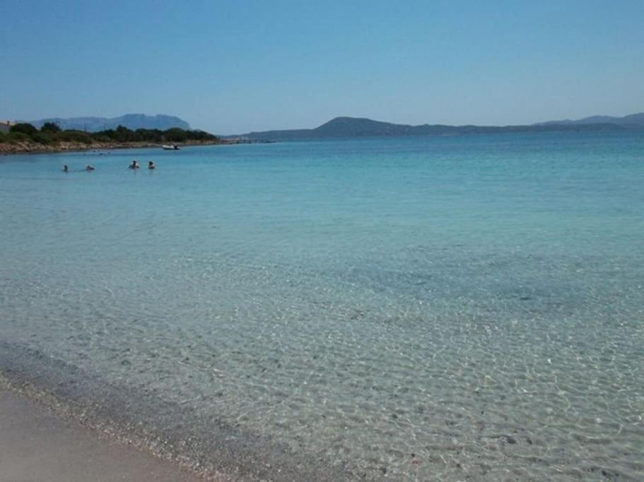 Camera Sole Olbia Luaran gambar